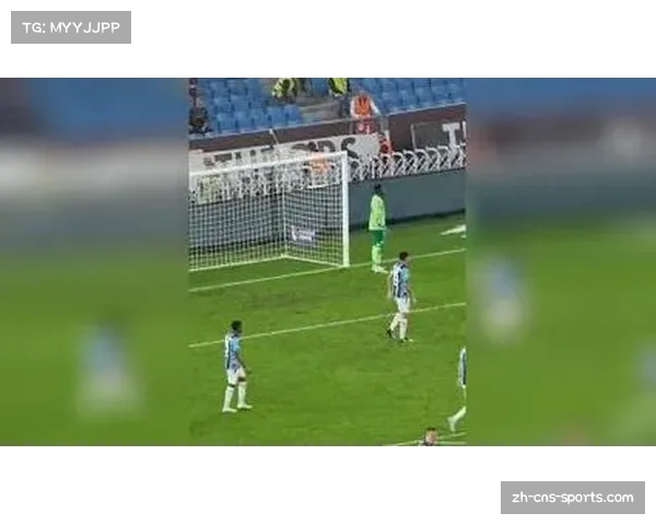 奥纳纳扑救表现亮眼 埃弗顿门将成关键